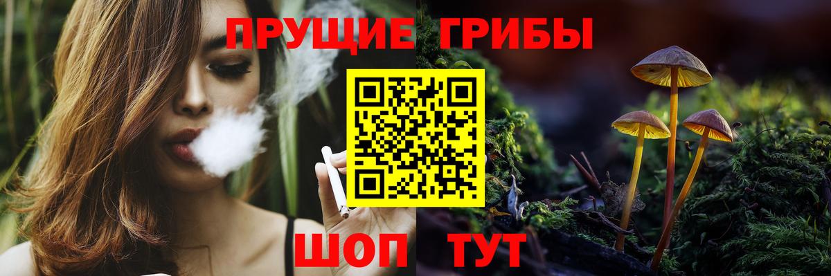 Галлюциногенные грибы Psilocybine cubensis  Вход с VPN  Михайловск 